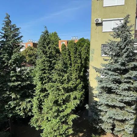 Koromed Hévíz