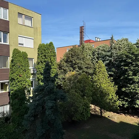 Koromed